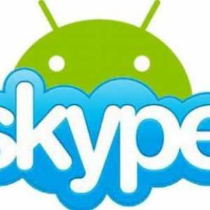Как да инсталирате Skype на Android? Подробни указания