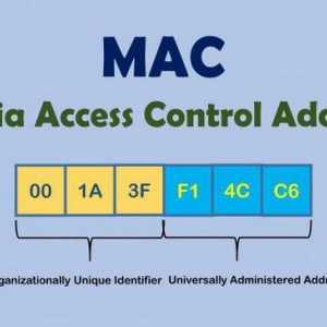 Как да разберете MAC адреса на лаптоп с Windows 7, 8, XP
