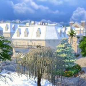 Как в "Sims 4" да направи зимата? Съвети
