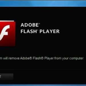 Как да активирате "Flash Player" в "Google Chrome": съвети и трикове