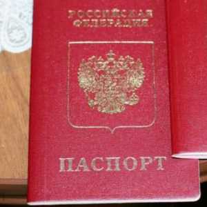 Как да впишете деца в стар паспорт: стъпка по стъпка инструкции и функции