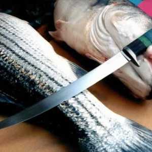 Как да изберем нож за риба. Качествен нож за рязане на риба