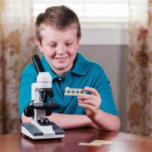 Как да изберем микроскоп за ученик?