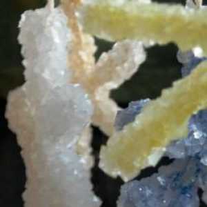 Как да растем кристали от сол и други вещества?