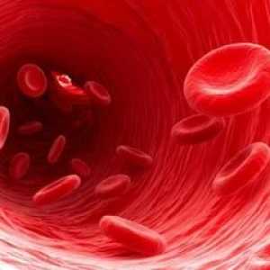Как е взаимосвързана кръвната група на децата и родителите? Правила за прехвърляне по наследство