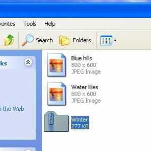 Как да архивирате файл в Zip. Как да архивирате файл или папка