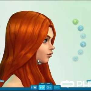 Как да стартираме Sims 4 или All за стартиране на "sims"