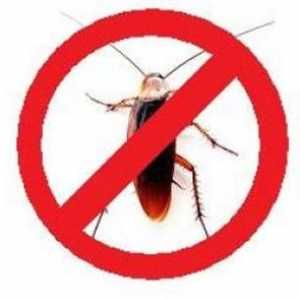 Какво е най-ефективното средство за защита от хлебарки?