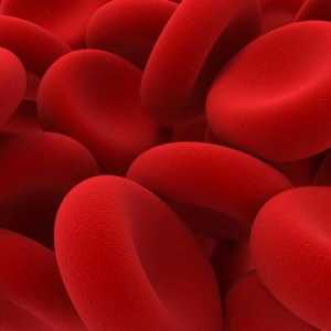 Какво трябва да бъде хемоглобинът при мъжете? Нормата на хемоглобина при мъжете по възраст