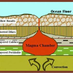 Какъв е основният елемент, който съставлява земната кора?