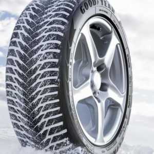 Какви зимни гуми трябва да купя? Какви зимни гуми трябва да купя на Renault Daster?