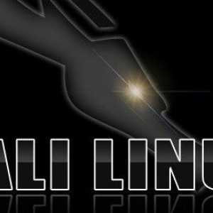 Kali Linux: инсталирайте на USB флаш паметта. Кратка инструкция