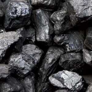 Въглища: образуване на находища. Значението на въглищата в промишлеността