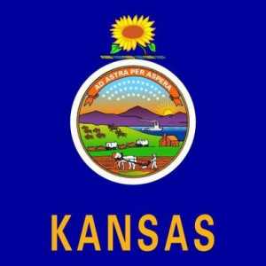 Канзас: слънчоглед и стълба на Америка