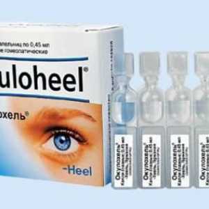 Очни капки "Okulokhel": инструкции, указания за употреба и аналози