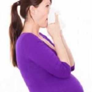 Капки от "Vibrocil" по време на бременност: противопоказания и прегледи