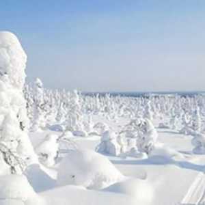 Карелия през зимата: разглеждане на забележителности, отдих, природа и ревюта