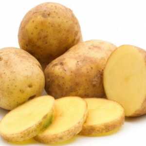 Картофи "Гала": описание на сорта