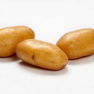 Картофи Лейди Клер: описание на класа, снимка, ревюта. Кога да засаждате картофите?…