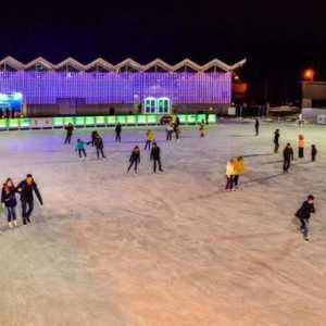 Ледена пързалка в Соколники: дизайн, услуги, детски групи, привилегии
