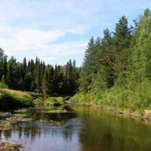 Керженец - река в района на Нижни Новгород: описание, риболов, почивка