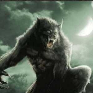 Кино за вълците: по-често не за хищници, а за волфулс