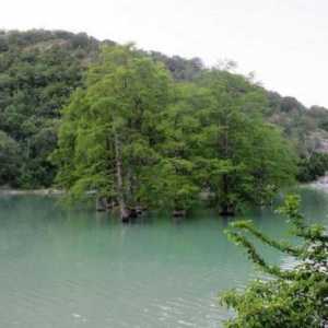 Cypress Lake (Sukko): описание, характеристики, снимка