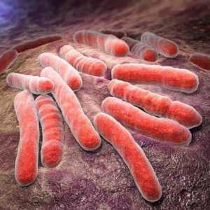 Класификация на белодробната туберкулоза