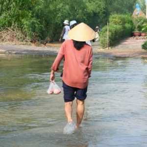Климат във Виетнам: полезна информация за туристите