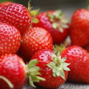 Кардинал на ягоди: описание на сорта и грижи