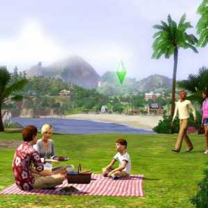Кодове за "The Sims 3": при бременни жени и други мами