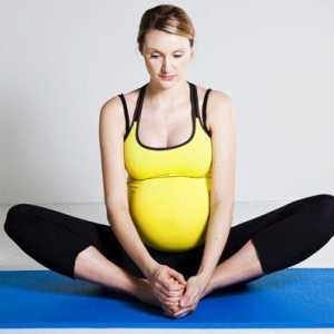 Кога започва тримесечният период на бременността? От коя седмица на бременността започва третият…