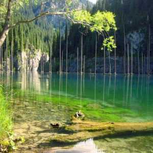 Колшайските езера са големи перспективи за отдих