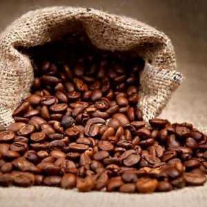 Колумбийско кафе: преглед, най-добри оценки