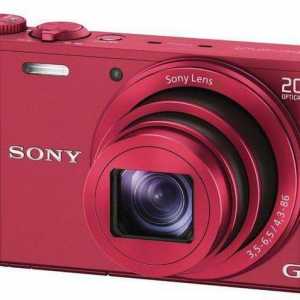 Компактен фотоапарат Sony Cyber ​​Shot: спецификации, настройки и отзиви