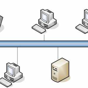 Компютърни мрежи: основни характеристики, класификация и принципи на организация