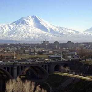 Коняк `Ararat`, 5 звезди: рецензии, как да се различи фалшив, снимка