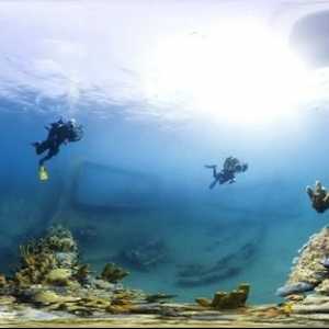 Коралов риф. Велик коралов риф. Подводен свят на коралови рифове