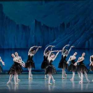 Оркестърът на балета е силата на представяне