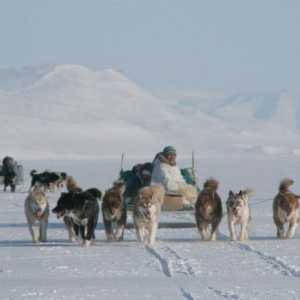 Местните народи на Арктика. Кои са местните жители на Арктика?