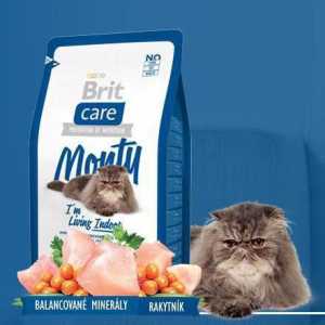 Feed Brit за котки: преглед, прегледи на ветеринарните лекари