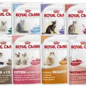 Храна за котки "Royal Kanin": композиция и рецензии