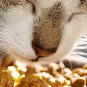 Хранене "Happy Cat" (за котки): описание, видове, ревюта на собствениците на животни