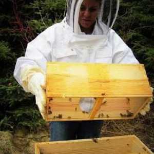 Хранилка за пчели (снимка)