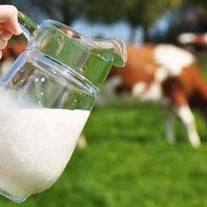 Краве мляко: състав и свойства. Състав на краве мляко - маса