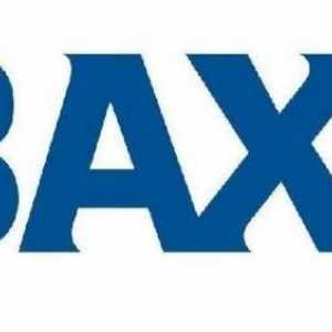 Бойлери `Baxi`: рецензии. Газов котел "Baxi": описание