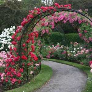 Ковани арки за цветя, тяхната роля в декор на околното пространство