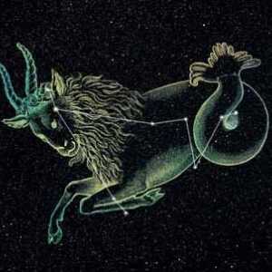 Козирог: елемент на знака на зодиака