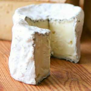 Козе сирене: полза и вреда, състав, рецепта