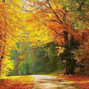Красиви фрази за есента. Стихове и изказвания